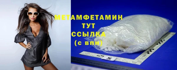 гидра Арсеньев