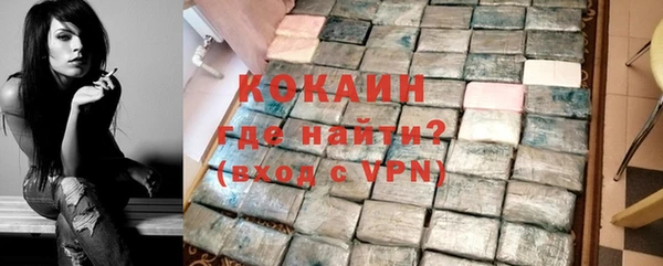 гидра Арсеньев