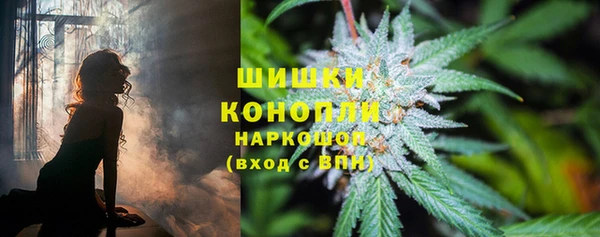 трава Аркадак