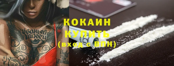 гидра Арсеньев