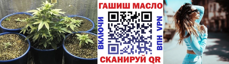 купить наркотики цена  Сухой Лог  Дистиллят ТГК жижа 