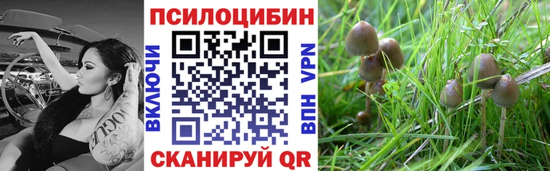 Псилоцибиновые грибы Cubensis  Сухой Лог 